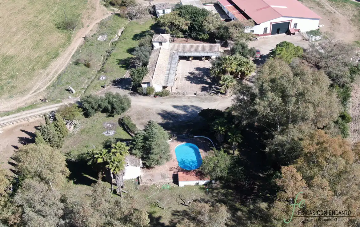 Schwimmbecken von Country house zum Verkauf in Marchena mit Privatgarten, Terrasse und Schwimmbad