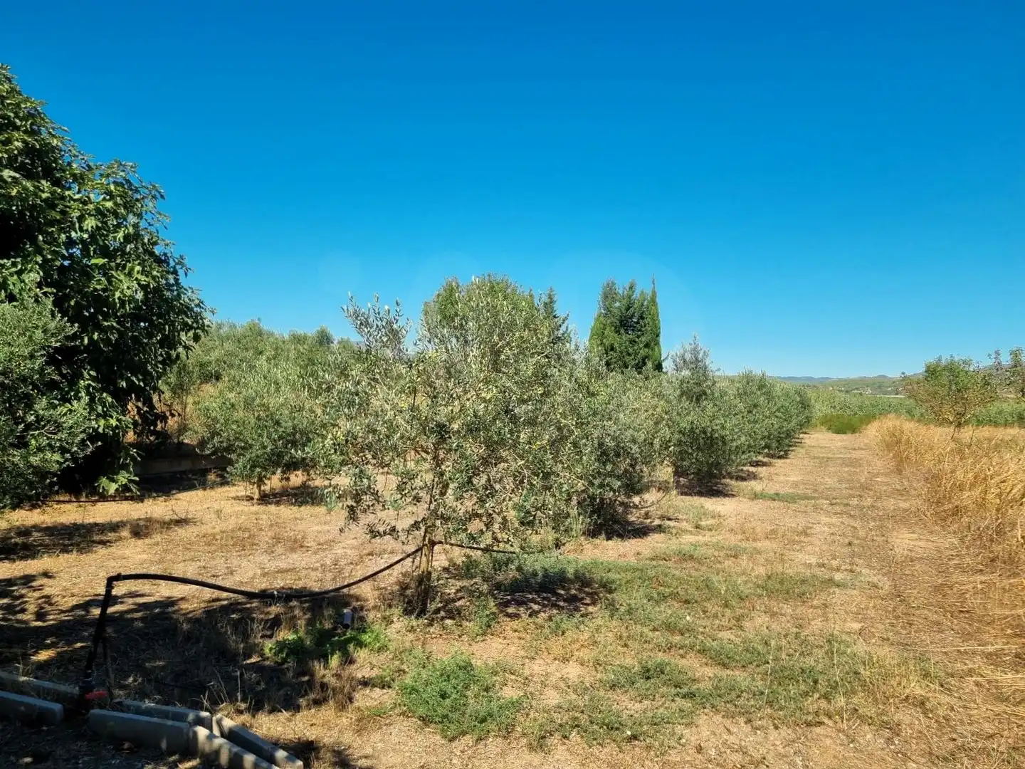 Lands and plots for sale in poligono 17 parcela 32, imagen 10