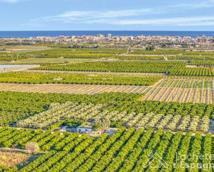 Finca rústica en venda en Vinaròs