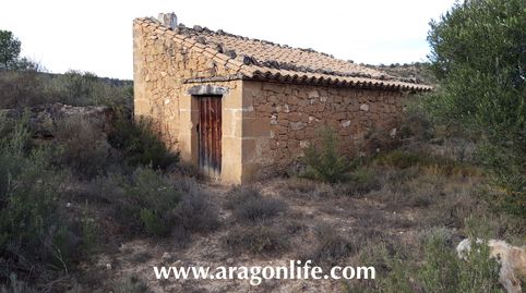 Finca de secano 13.355m2 + 40m2 casa