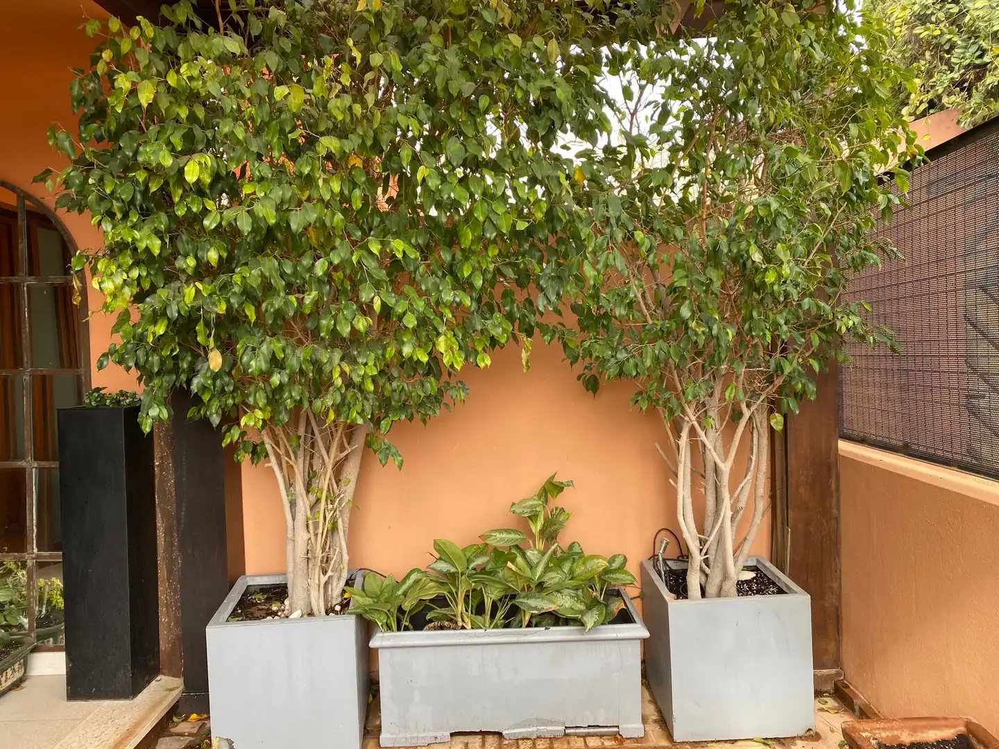 Houses for sale in Calle Sierra de Yeguas, Limonar