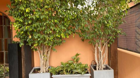 Foto 2 de Casa o chalet en venta en Calle Sierra de Yeguas, Limonar, Málaga Capital