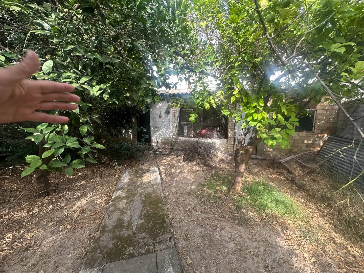 Jardí de Casa o xalet en venda en Tomares