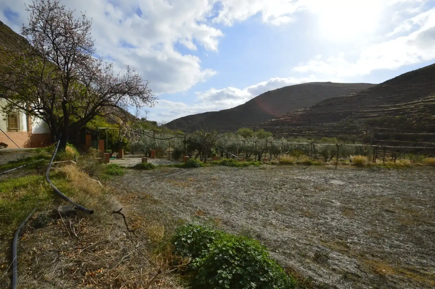Finca rústica en venta en Gérgal