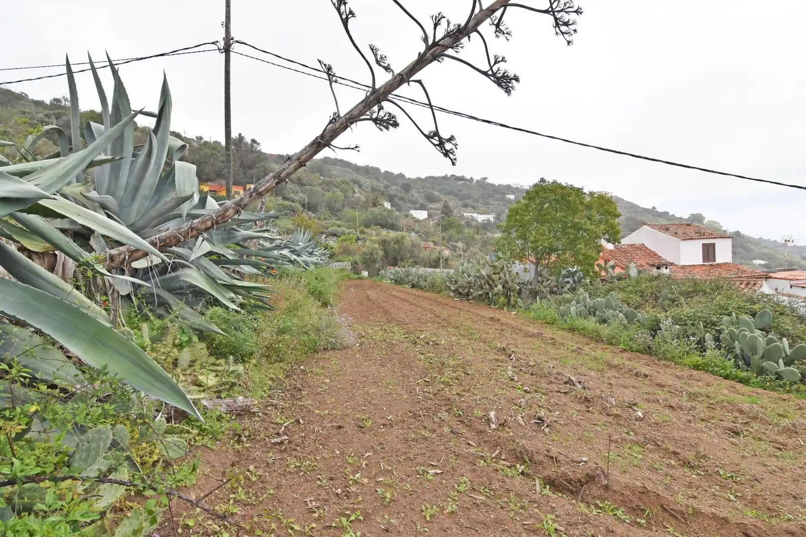 Finca rústica en venta en Camino PINO SANTO BAJO, 2, Portada Verde - Lomo Espino - Guanche