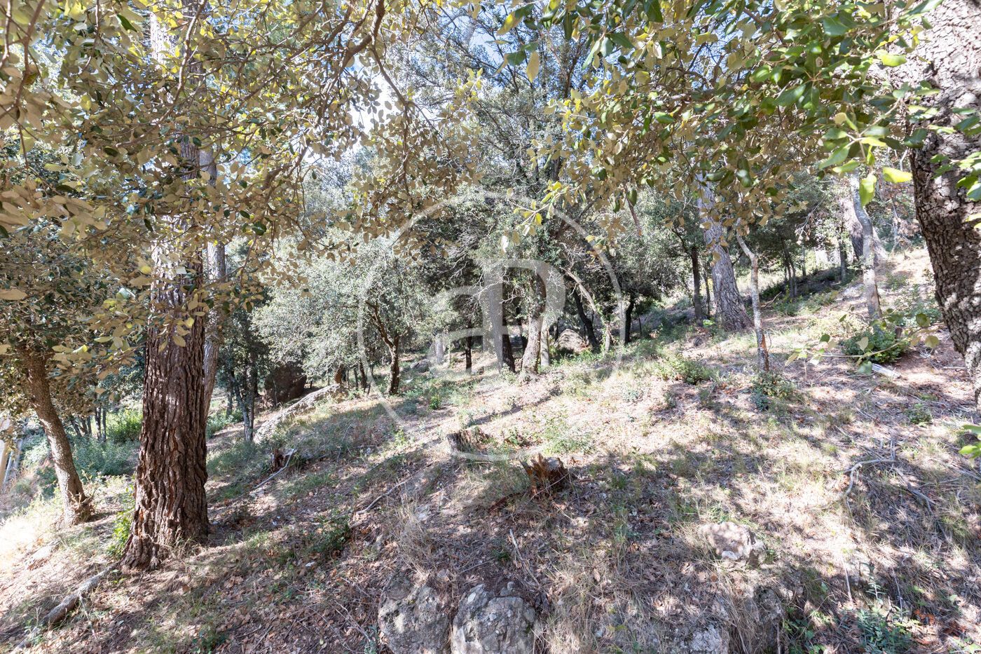 Residential for sale in Matadepera