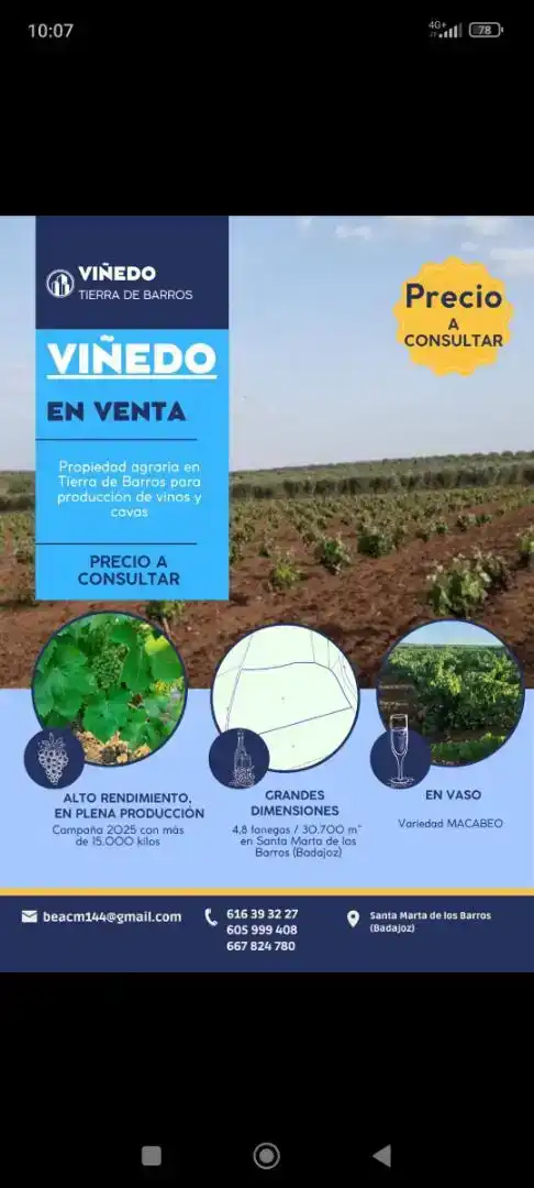 Jardí de Finca rústica en venda en Santa Marta