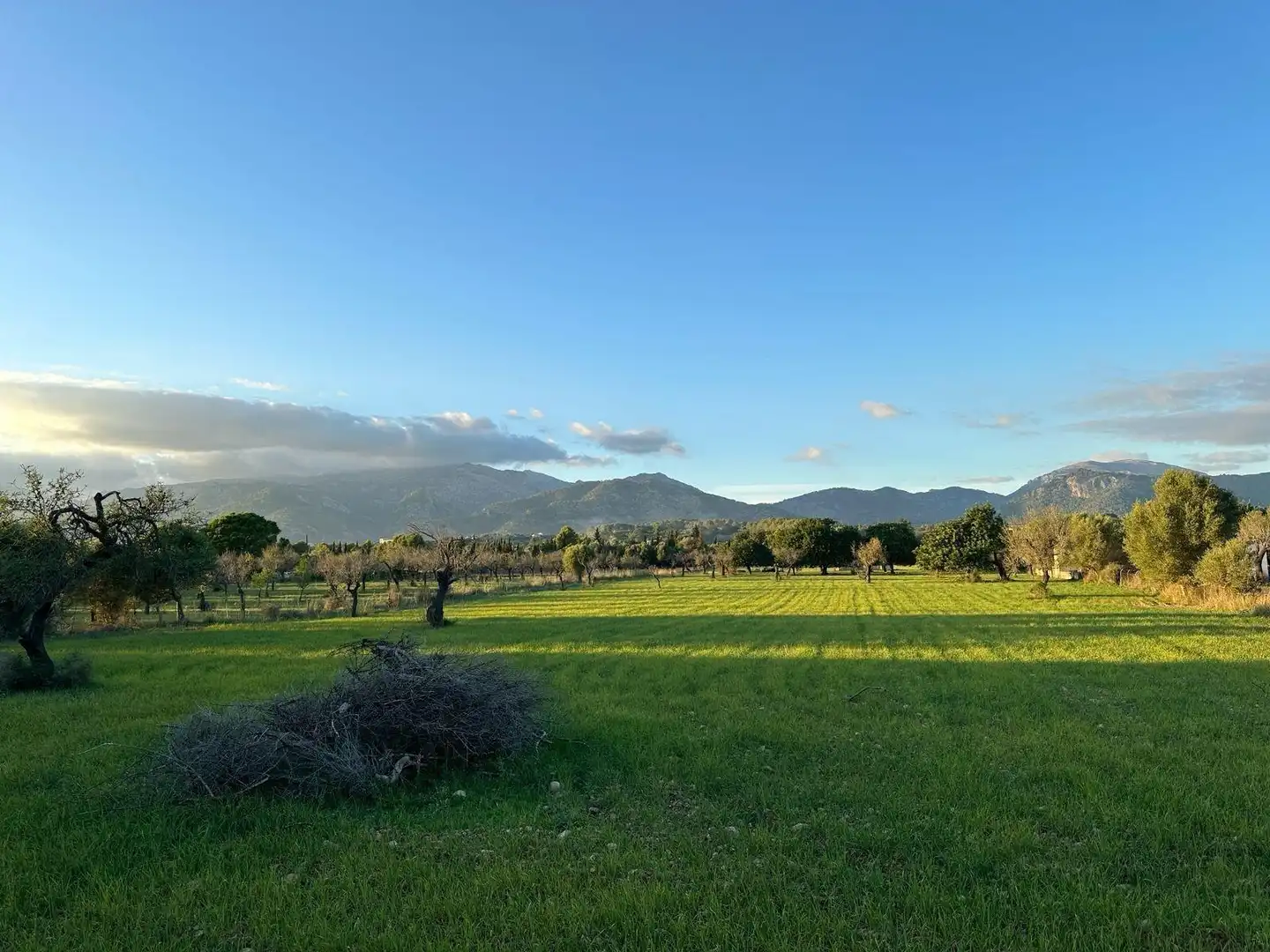 Terreno residenziale in vendita a Camino Selva, imagen 23