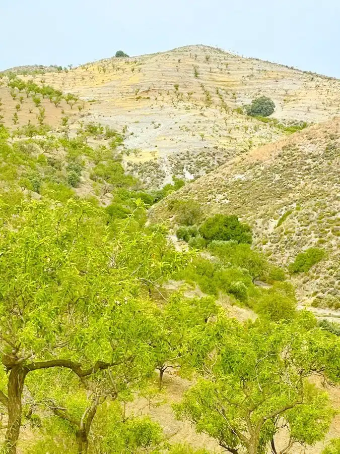 Rural land for sale in Puerto Lumbreras, imagen 6