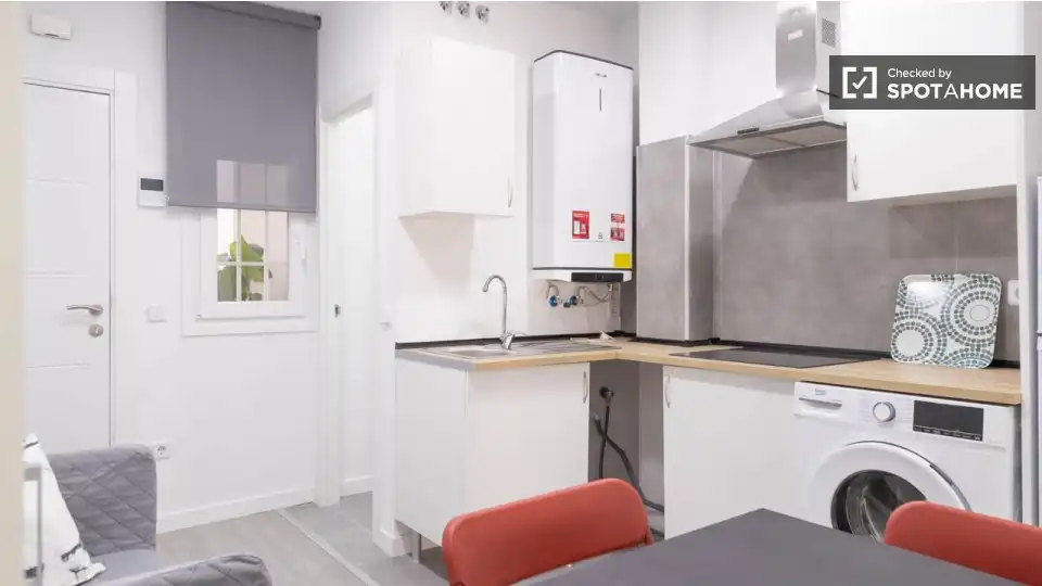 Appartamento con terrazza in affitto a Barrio de Salamanca, imagen 4
