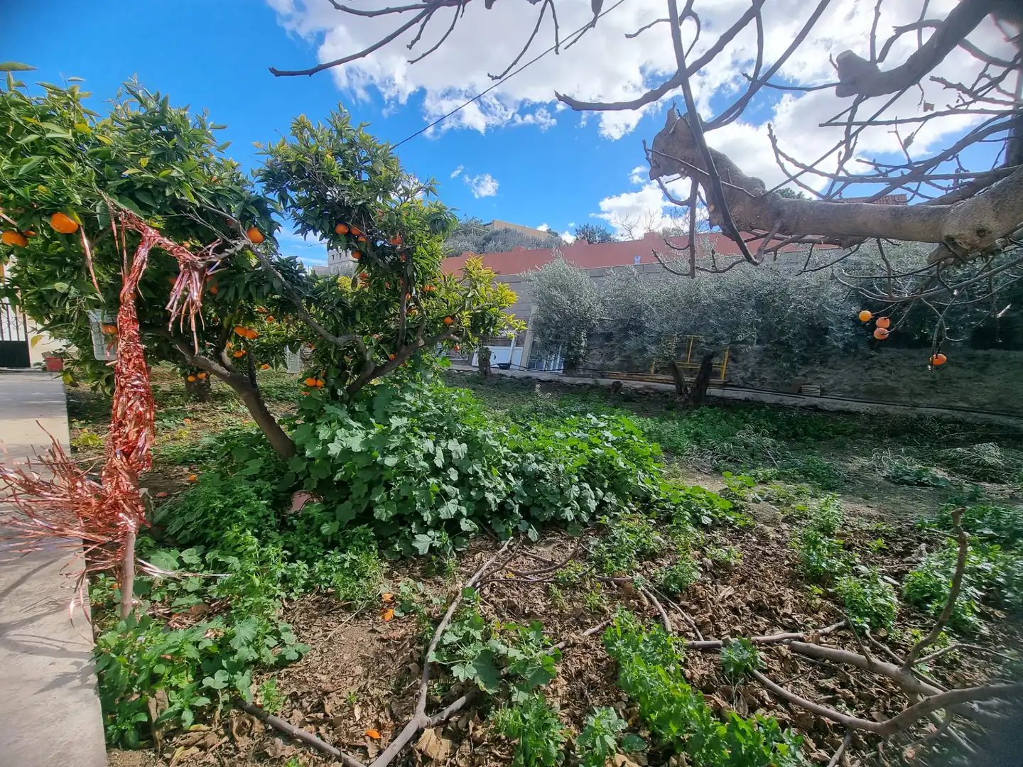 Finca rústica en venta en Pechina con Aire acondicionado, Calefacción y Jardín privado