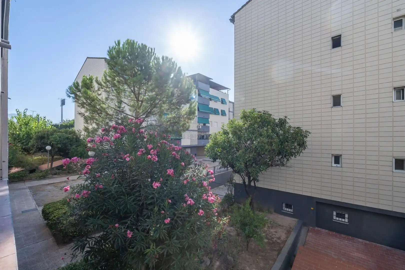 Piso con piscina en venta en Calle BLASCO IBAÑEZ 20, imagen 15