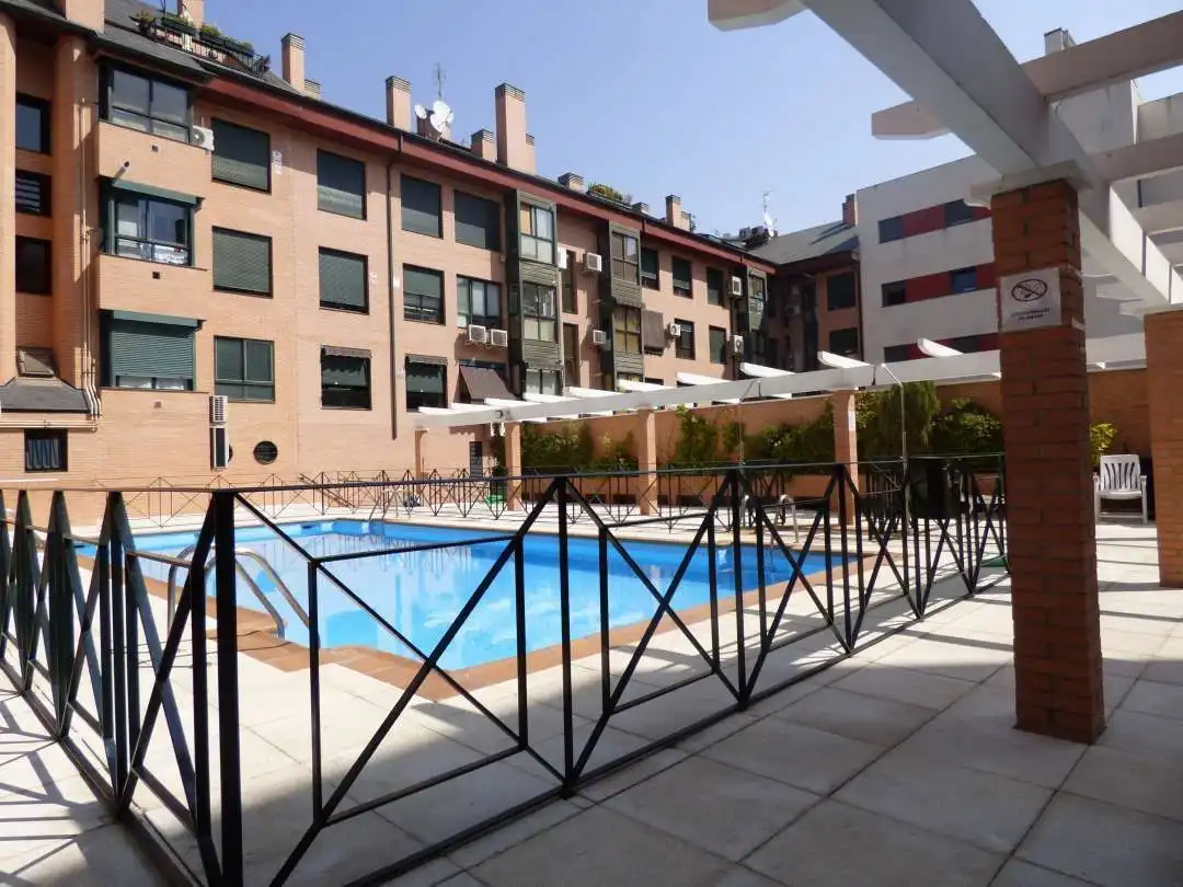 Swimming pool of Flat for rent in Madrid  with Air Conditioner, Heating and Private garden