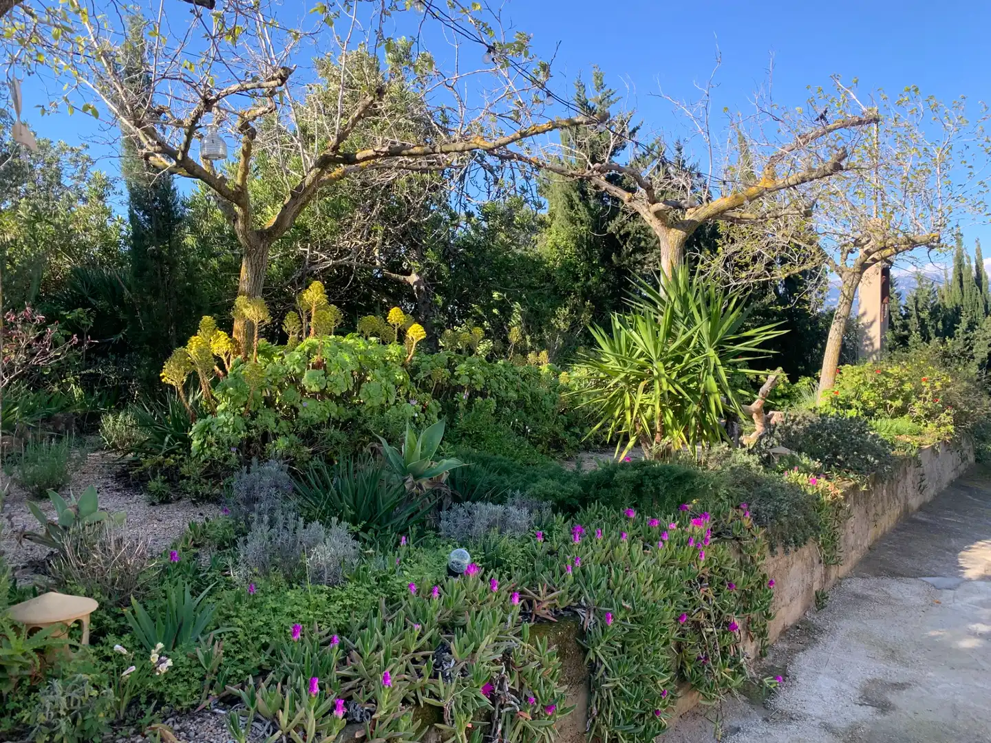 Jardí de Finca rústica en venda en Tortosa amb Aire condicionat, Calefacció i Jardí privat