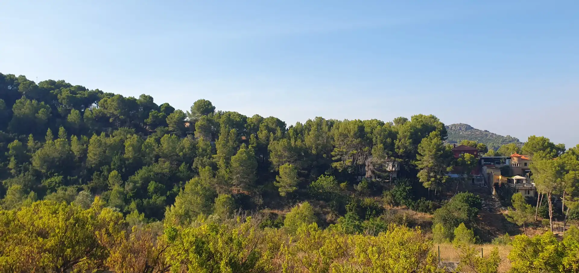 Terrain rustique à vendre à Diseminado Casa Canet, imagen 4