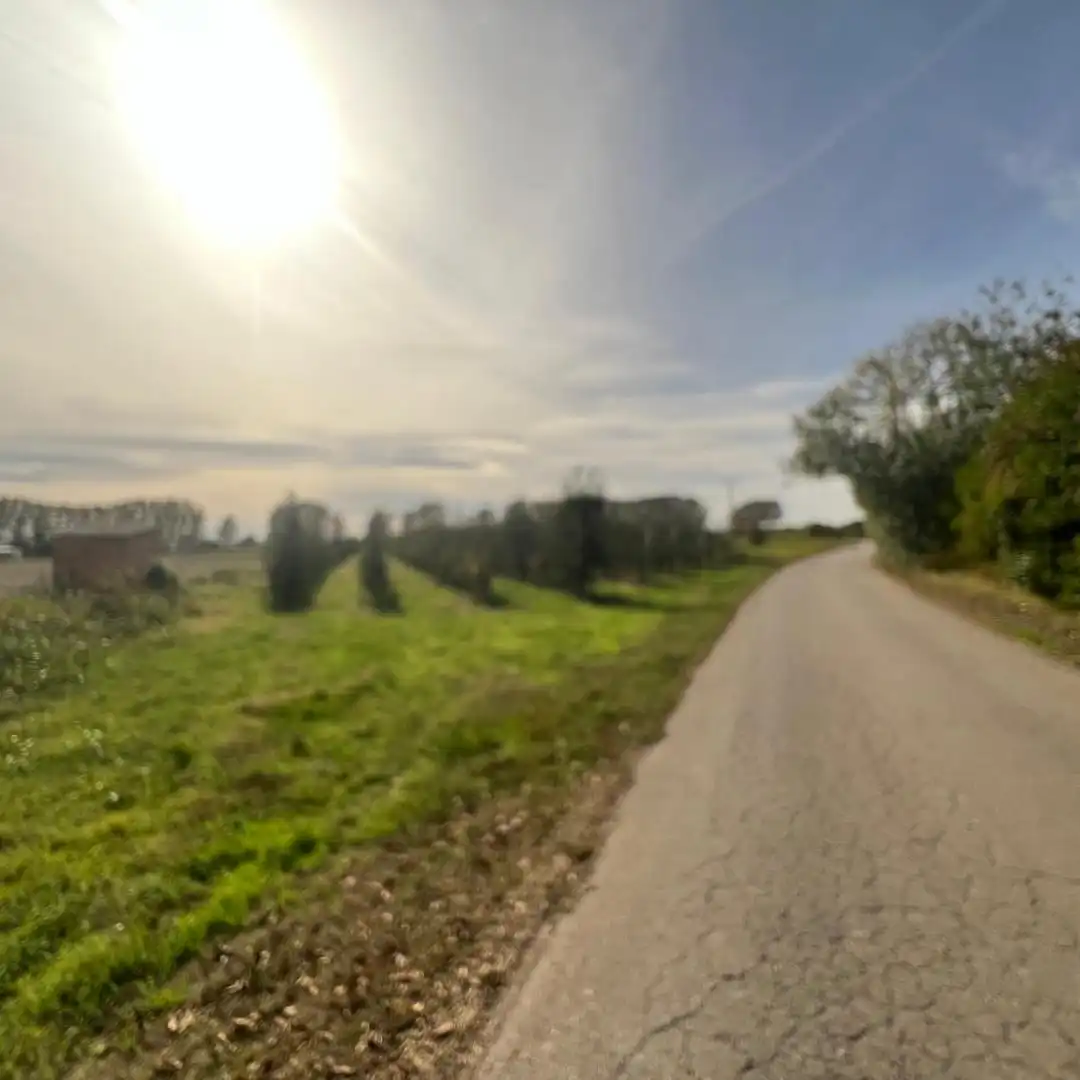 Terrenos y solares en venta en Camino 78, imagen 6
