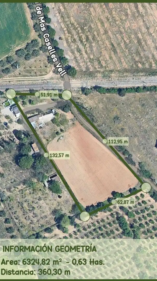 Finca rústica en venta en Constantí