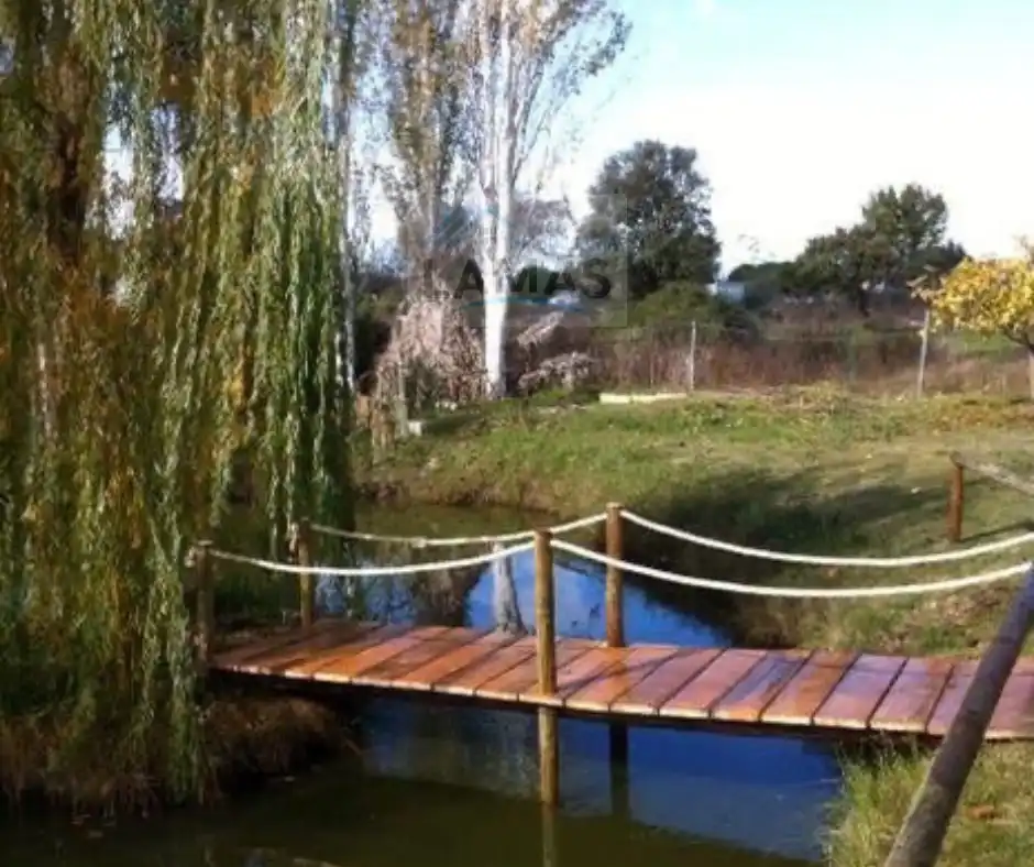 Jardí de Finca rústica en venda en Belvís de Monroy amb Aire condicionat, Jardí privat i Piscina