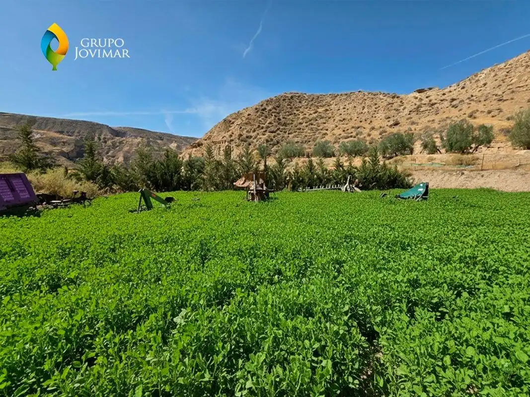 Jardín de Terreno en venta en Gorafe