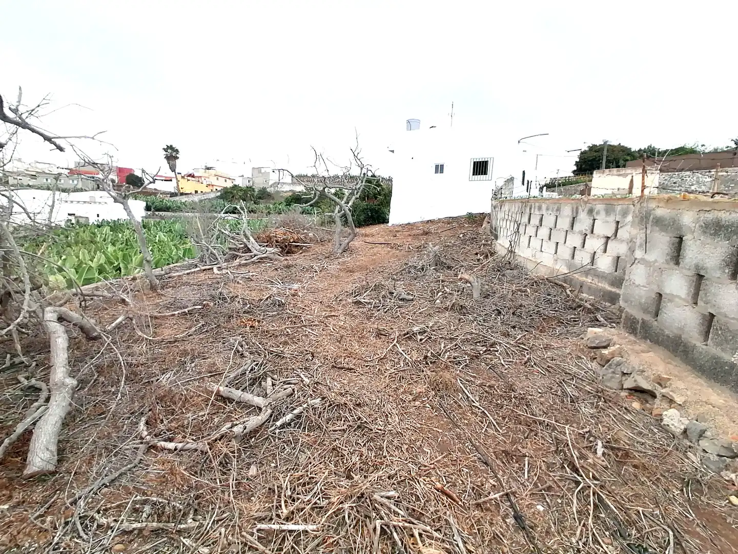 Casa o xalet de lloguer en Arucas amb Jardí privat, Terrassa i Traster