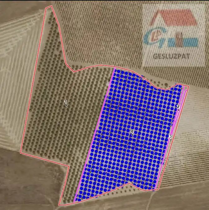 Lands and plots for sale in Corral de Almaguer