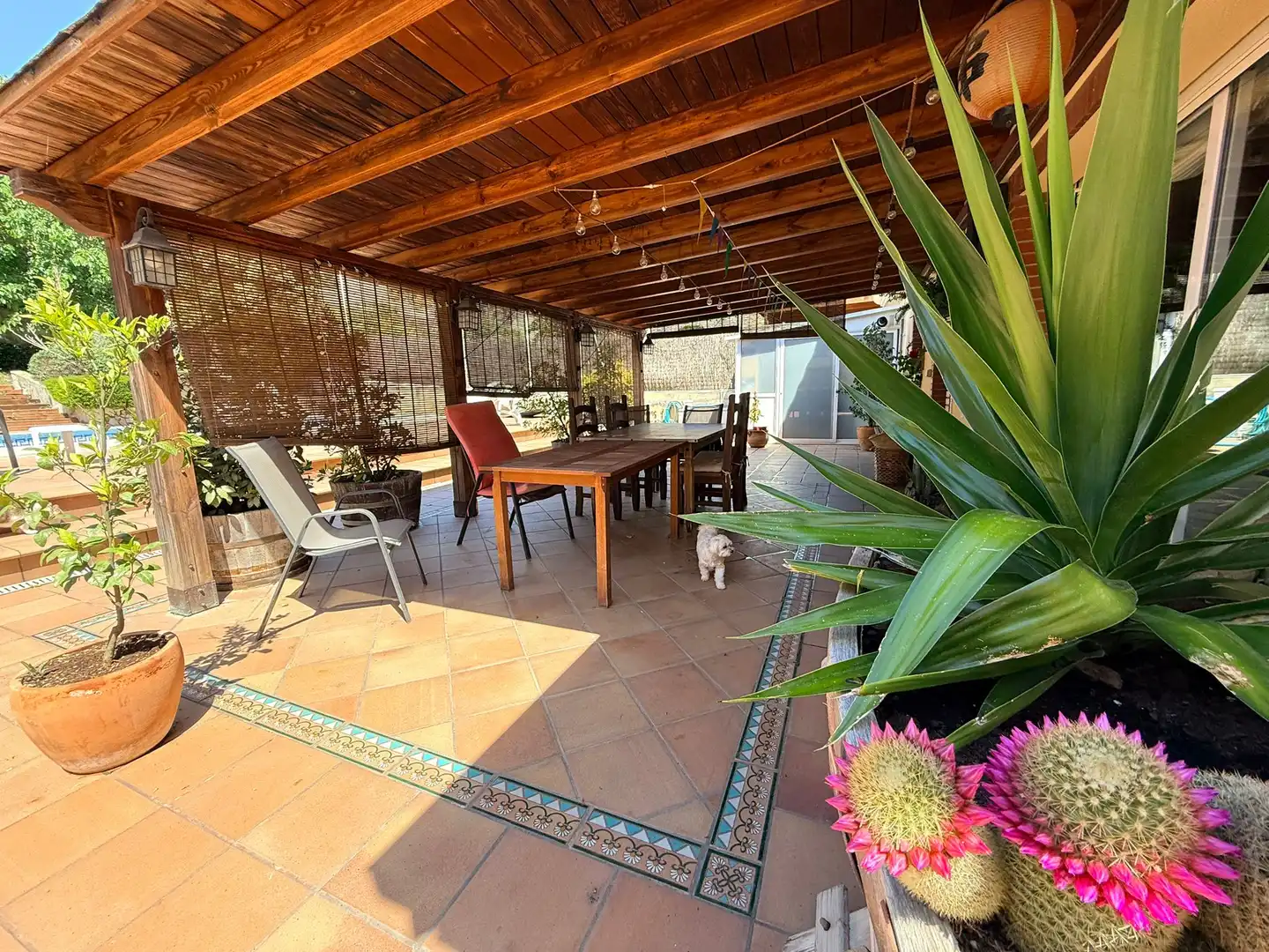 Casa o xalet en venda a Olèrdola, Barcelona