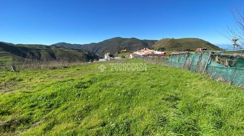 Foto 4 de Terreno en venta en Camino del Palo, Gáldar pueblo, Gáldar