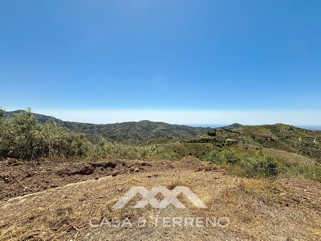 Land for sale in Canillas de Albaida