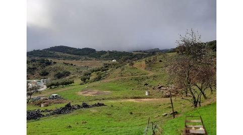 Photo 5 of Houses for sale in N/a, Villanueva de la Concepción, Málaga