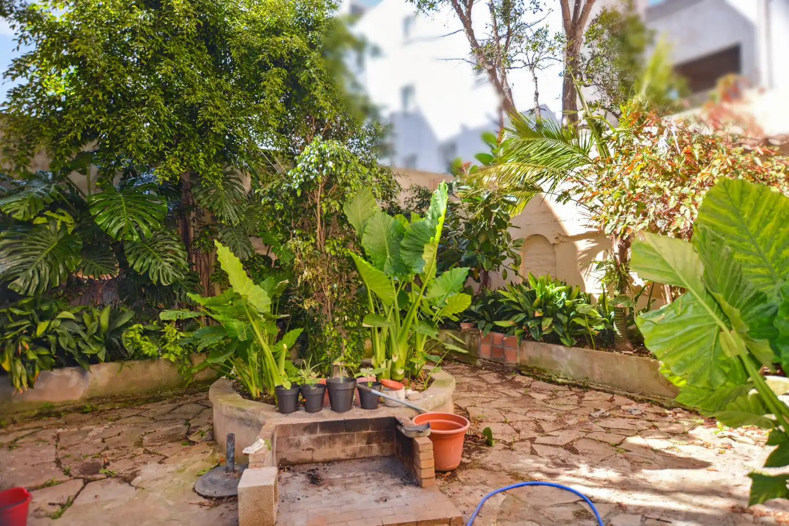 Maison à vendre à Cala Ratjada, imagen 22