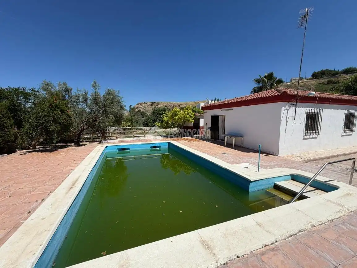Piscina de Finca rústica en venda en Jaén