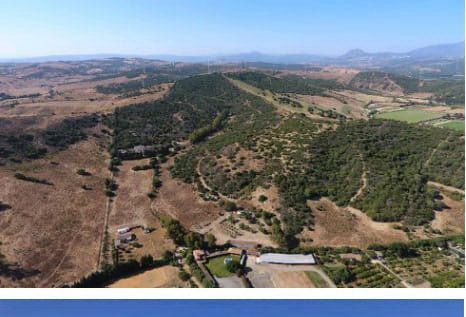 Finca rústica en venta en San Martín del Tesorillo