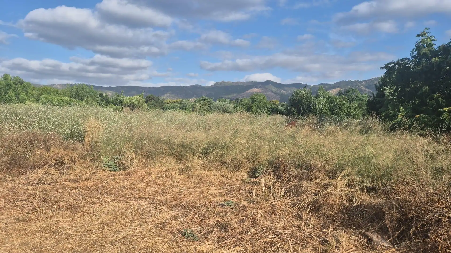 Finca rústica en venta en Murcia con Amueblado