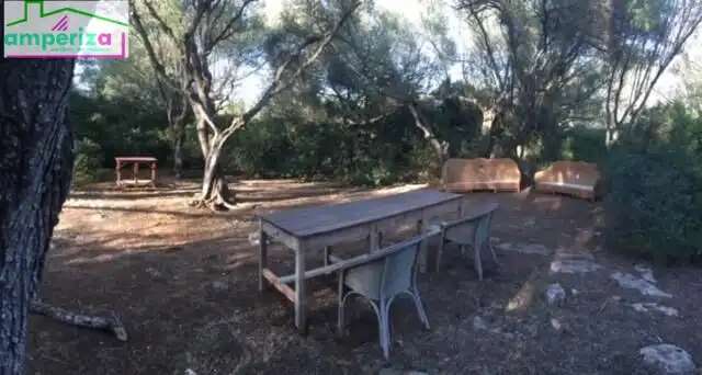 Rural land for sale in Felanitx Poble
