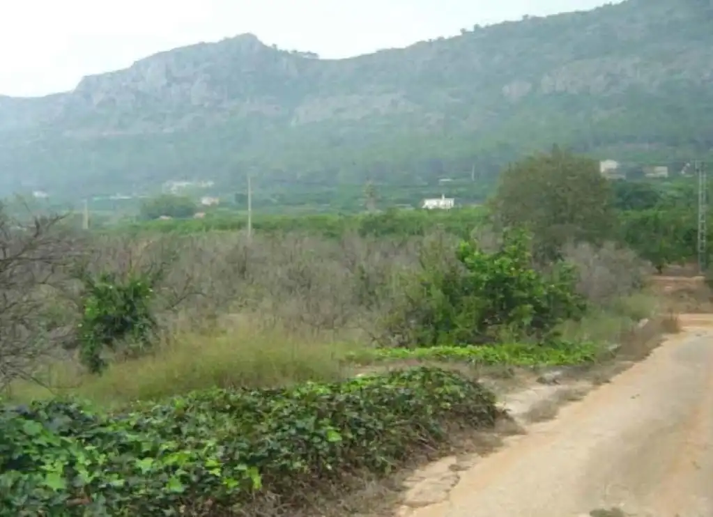 Terreny rústic en venda a Partida La Casella, S/N, imagen 10