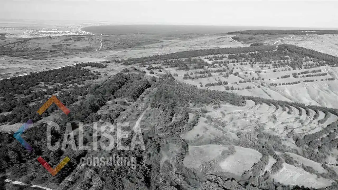 Terreny industrial en venda a Sant Cosme -La Granja