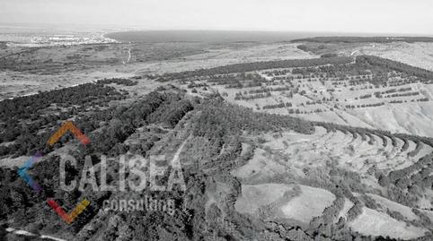 Photo 5 of Industrial land for sale in Sant Cosme -La Granja, Barcelona