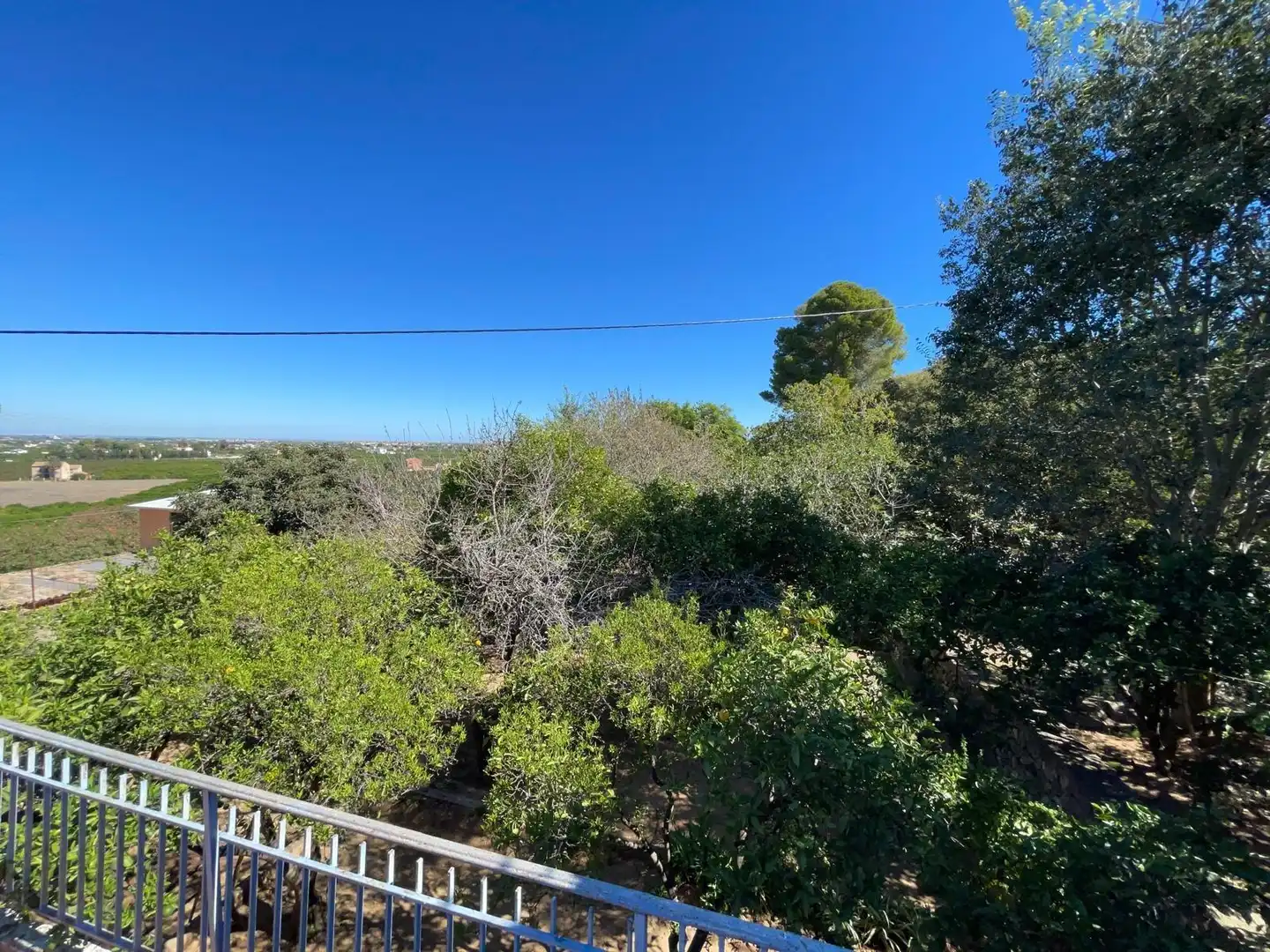 Vista exterior de Casa o chalet en venta en Alzira con Jardín privado, Terraza y Trastero