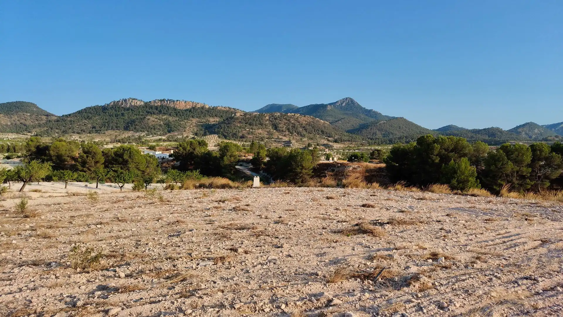 Terreno rustico in vendita a Jumilla, imagen 2