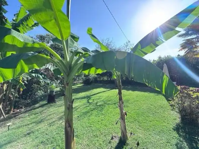 Casa con terraza en venta en CASTAÑERA, imagen 35