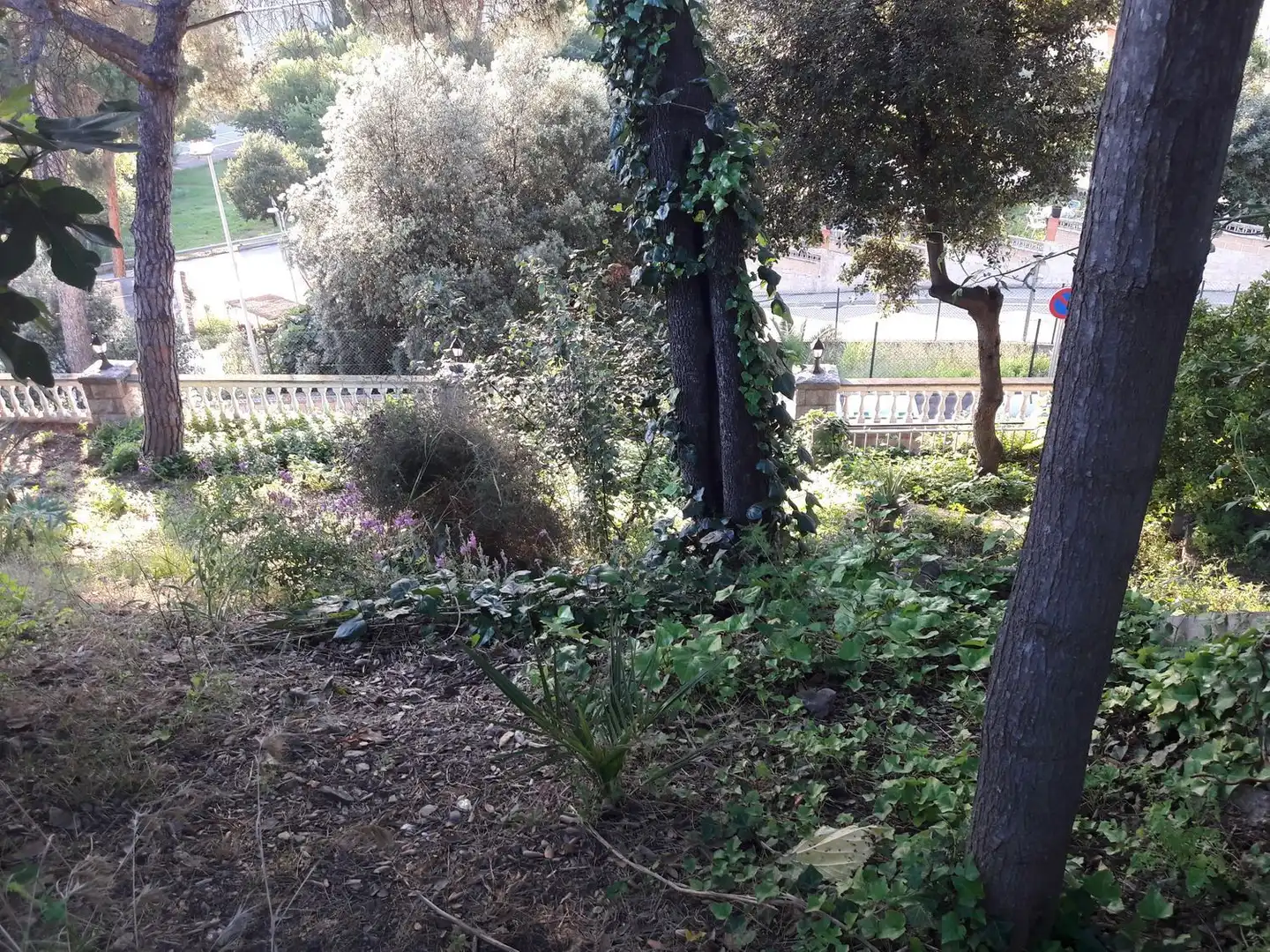 Terrenos y solares en venta en Pere Calders, imagen 27