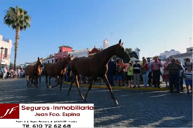 Terreni e lotti in vendita a Camino de Villalba del Alcor 12, imagen 5