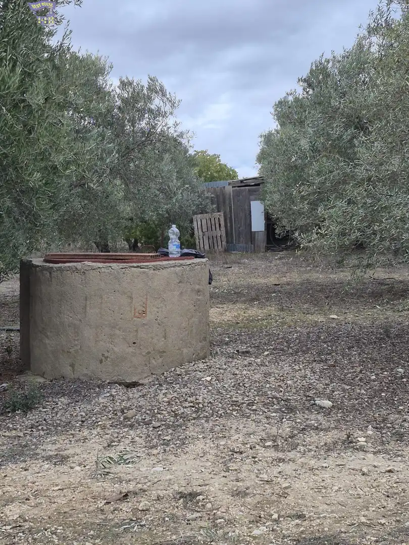 Finca rústica en venda a Arcos de la Frontera