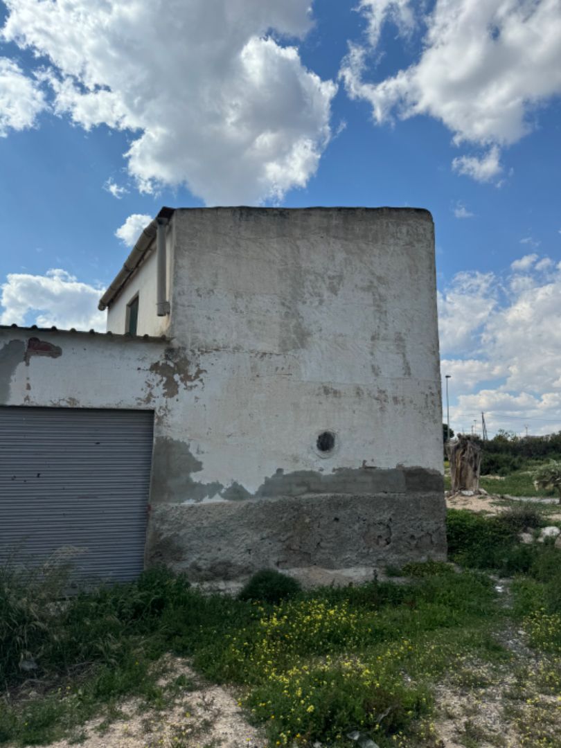 Exterior view of House or chalet for sale in Elche / Elx  with Private garden