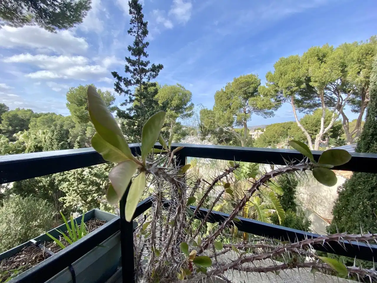 Piso de alquiler en Via de la Creu, Santa Ponça