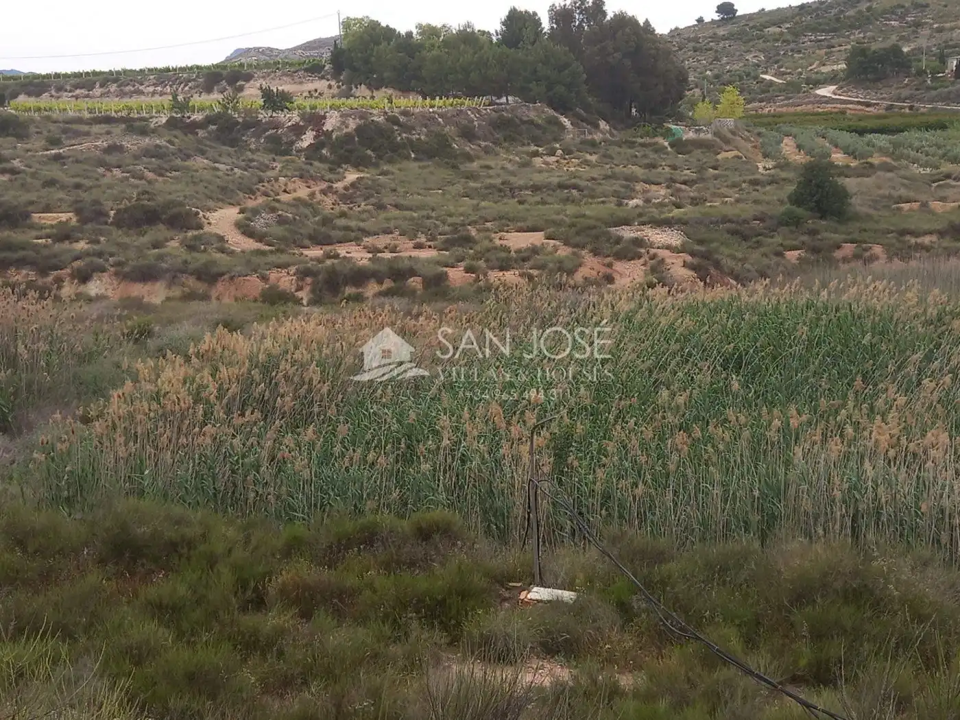Rural land for sale in Novelda, imagen 14