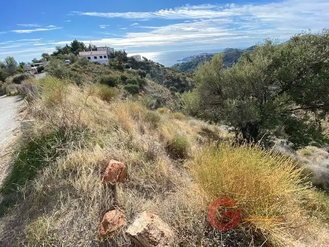 Terreni e lotti in vendita a Cotobro, imagen 2