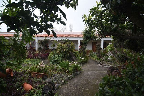 Jardí de Finca rústica en venda en Tacoronte amb Jardí privat i Terrassa