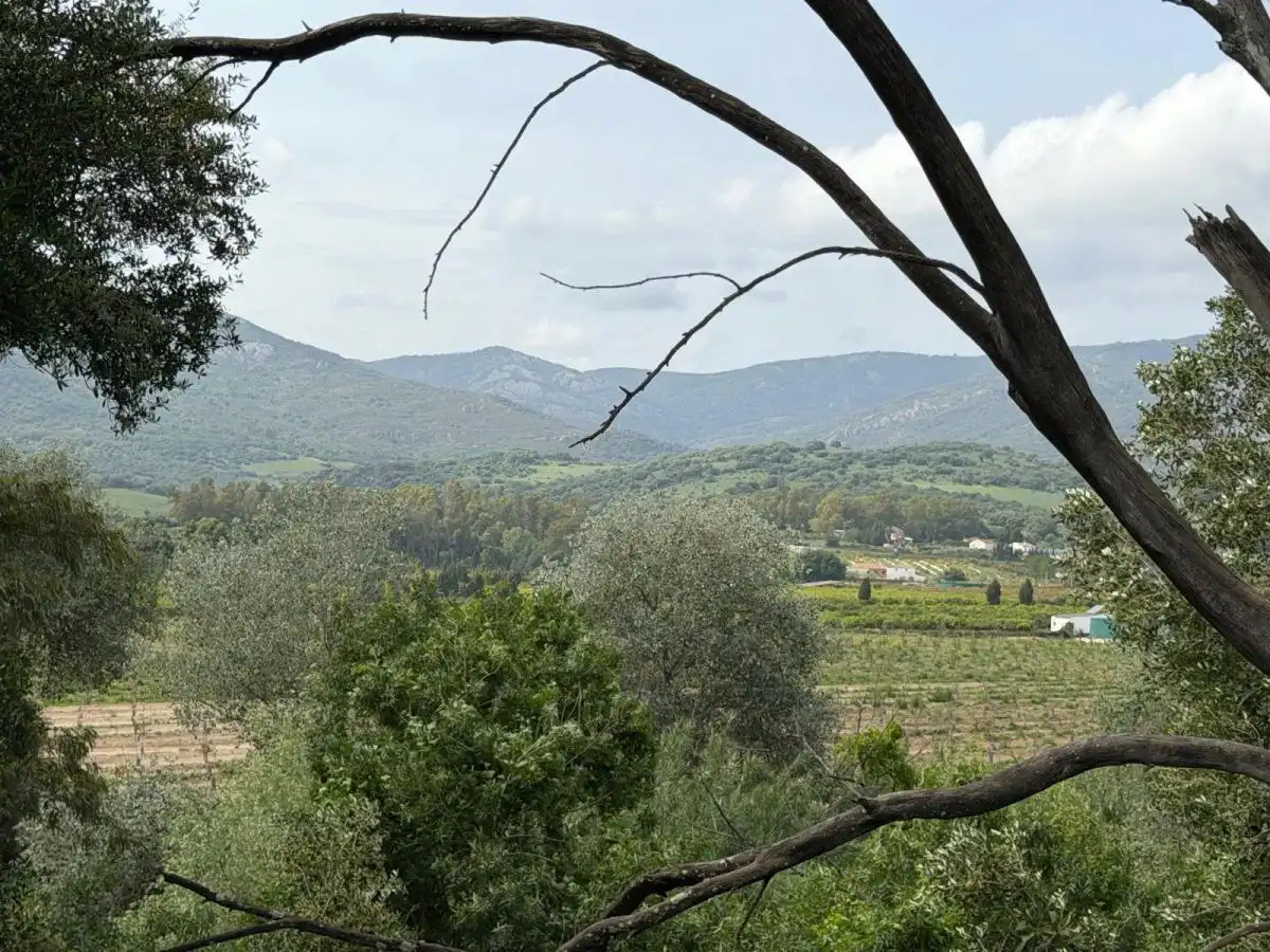 Finca rústica en venta en Jimena de la Frontera con Terraza
