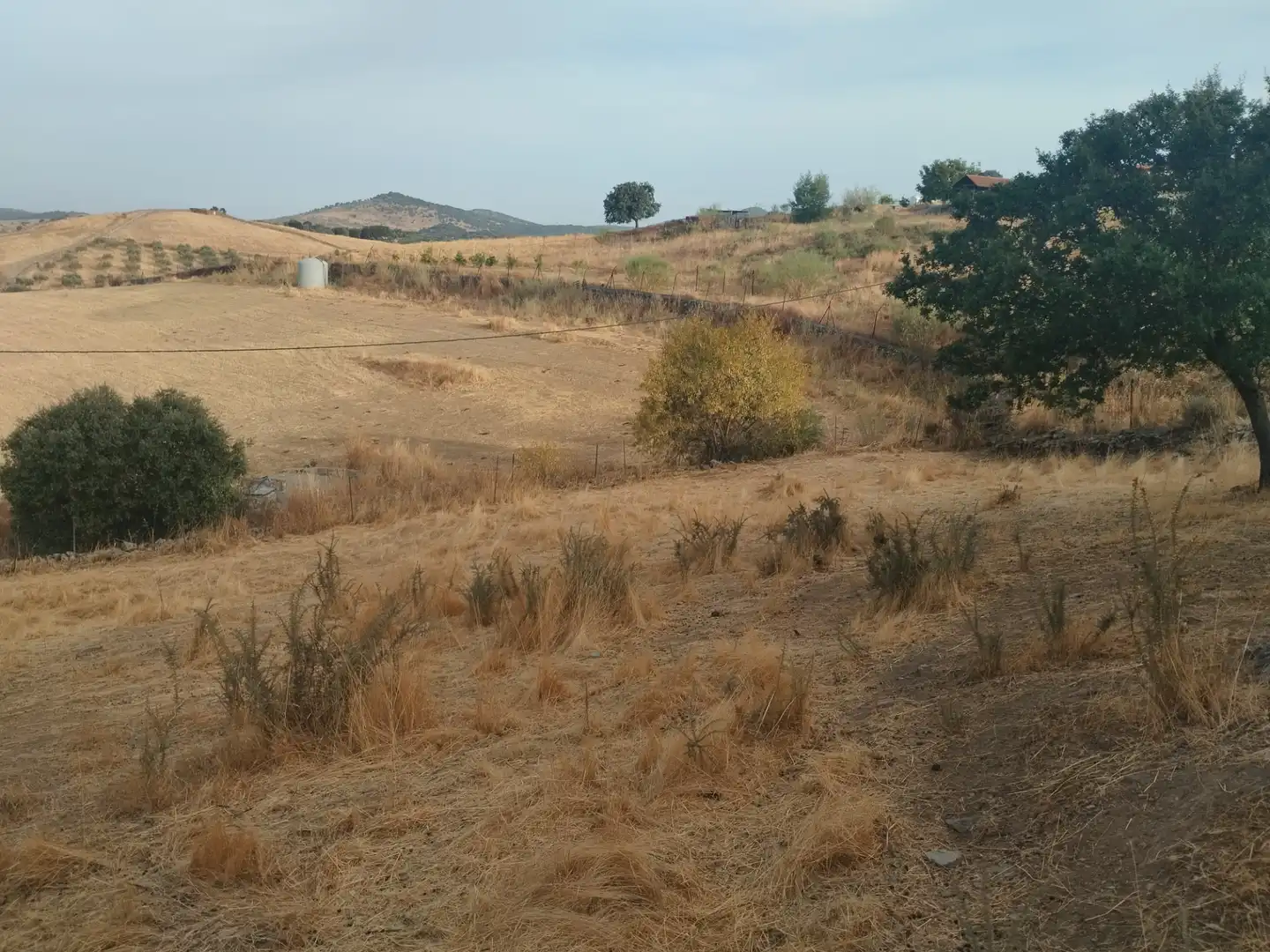 Terreni e lotti in vendita a Jerez de los Caballeros, imagen 17